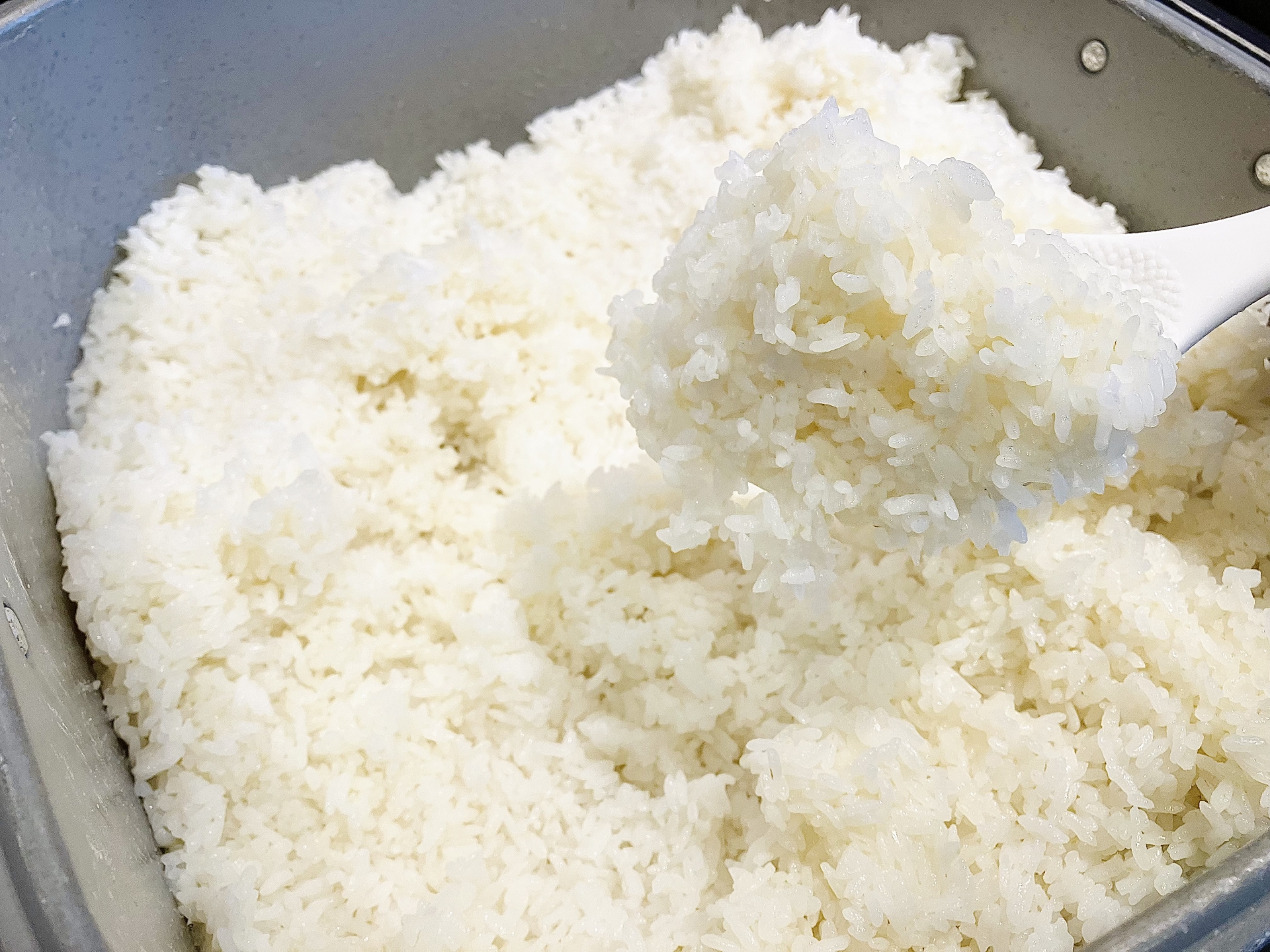 業務用炊飯器のなかのごはん