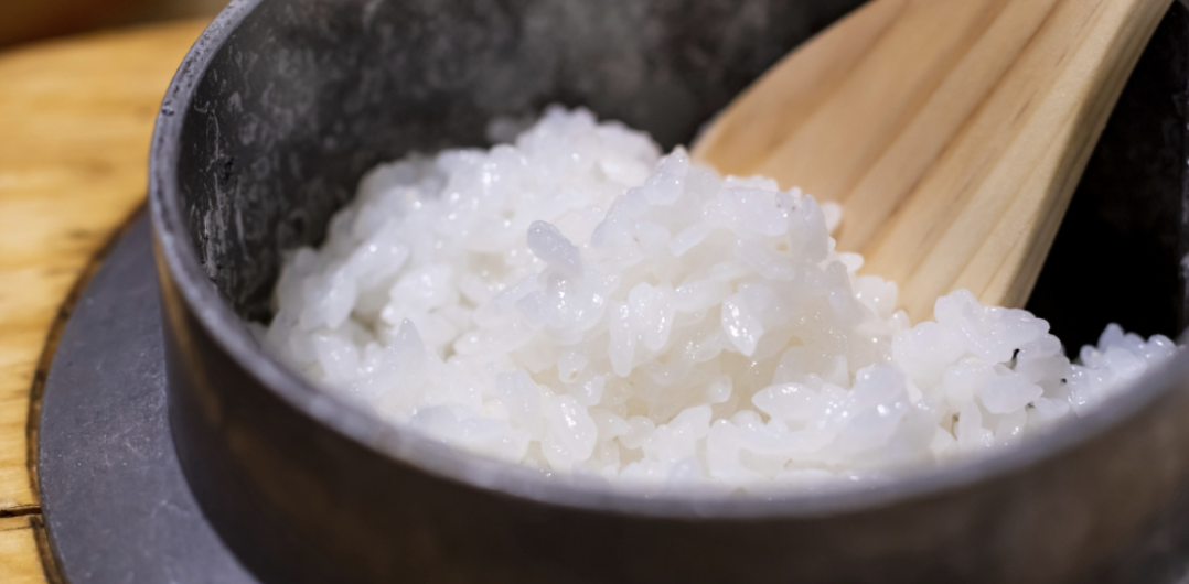 釜で炊いた艶やかな白米をしゃもじでよそうクローズアップ　